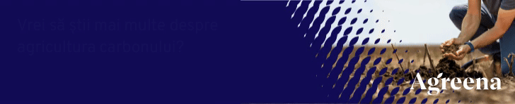 spot_img